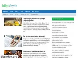 Sites similar to bilgifayda.com