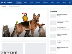 Sites similar to bilgikenti.net