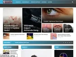 Sites similar to bilgiloji.com