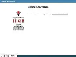 Sites similar to bilgimikoruyorum.org.tr