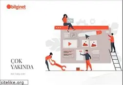 Sites similar to bilginet.com.tr