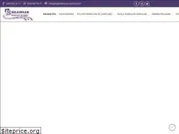 Sites similar to bilginlersurucukursu.com