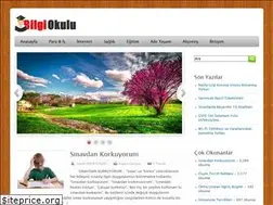 Sites similar to bilgiokulu.net