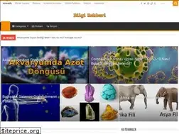 Sites similar to bilgirehberi.net