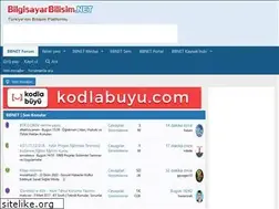 Sites similar to bilgisayarbilisim.net