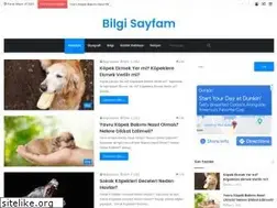 Sites similar to bilgisayfam.net