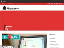 Sites similar to bilgisurucukursu.com.tr