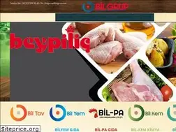 Sites similar to bilgrup.com