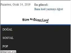Sites similar to bilimneguzellan.net