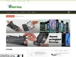 Sites similar to bilisimpasaji.com