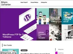 Sites similar to bilisimuzmanlari.com