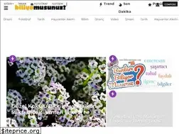 Sites similar to biliyomusunuz.com