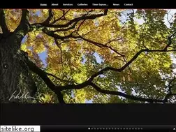 Sites similar to billbonneyphotography.com