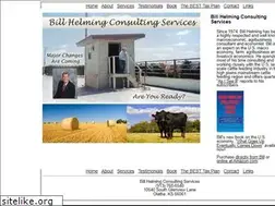 Sites similar to billhelmingconsulting.com