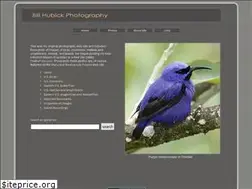 Sites similar to billhubick.com