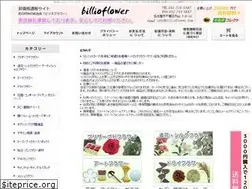 Sites similar to billioflower.com