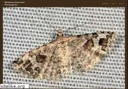 Sites similar to billjohnsonbeyondbutterflies.com