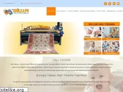 Sites similar to billurhaliyikama.com