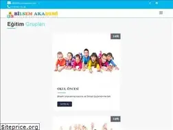 Sites similar to bilsemakademi.net