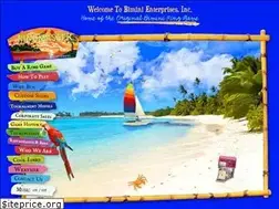 Sites similar to biminiringgame.com