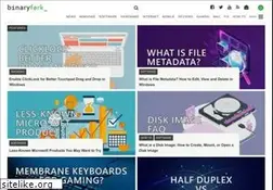 Sites similar to binaryfork.com