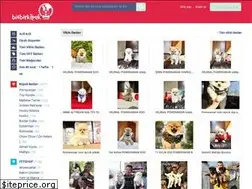 Sites similar to binbirkopek.com