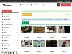 Sites similar to binbirpati.com
