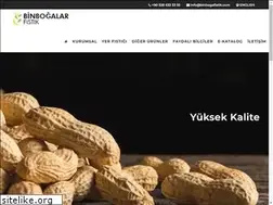 Sites similar to binbogafistik.com