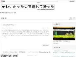 Sites similar to binborium.com