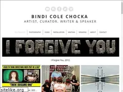Sites similar to bindicolechocka.com