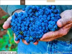 Sites similar to binghamfamilyvineyards.com