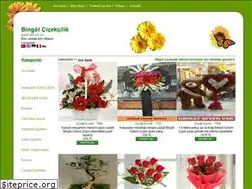 Sites similar to bingolcicek.com