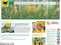 Sites similar to binhdien.com