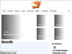 Sites similar to binicilikokulu.com