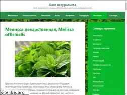 Sites similar to binomen.ru