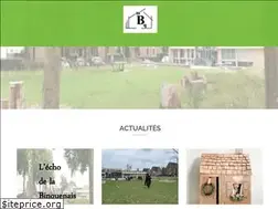 Sites similar to binquenais.com