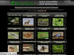 Sites similar to bio-foto.com