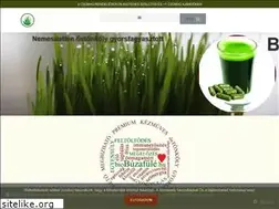 Sites similar to biobuzafule.hu