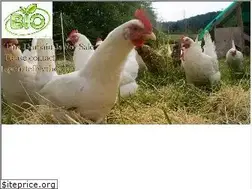 Sites similar to biochicken.com