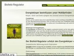 Sites similar to biofeldregulator.de