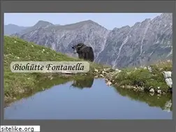 Sites similar to biohuette-fontanella.at