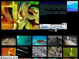 Sites similar to biologiemarine.com