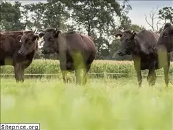 Sites similar to biologischwagyuvleeskopen.nl