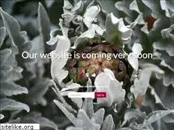 Sites similar to biomagazine.gr