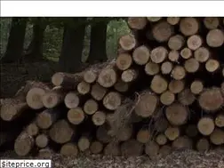 Sites similar to biomassatechniek.nl