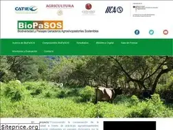Sites similar to biopasos.com