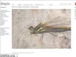 Sites similar to biopix.com