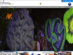 Sites similar to biotropicacuarium.com