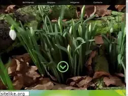 Sites similar to biovivienda.com