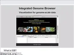 Sites similar to bioviz.org